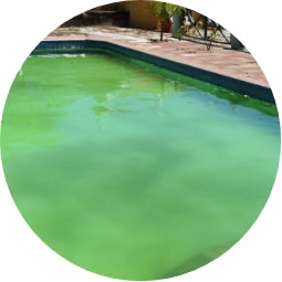 <strong>Discolored</strong> water