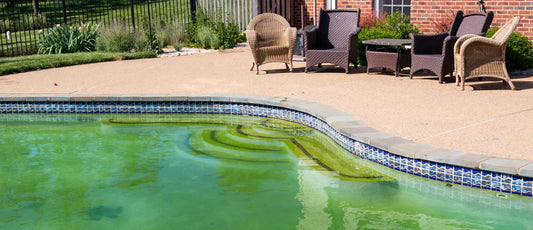 How to Turn Green Water Blue