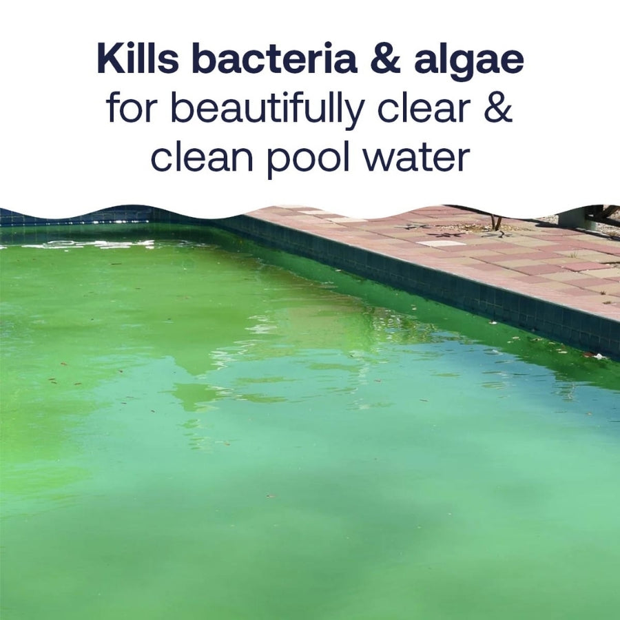 HTH™ Pool Care Chlorine Floater: Pool Chlorine Floater