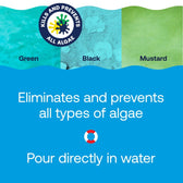 Pool Algaecide for Extra Stength Algae Control | HTH™ Pools – HTH Pools