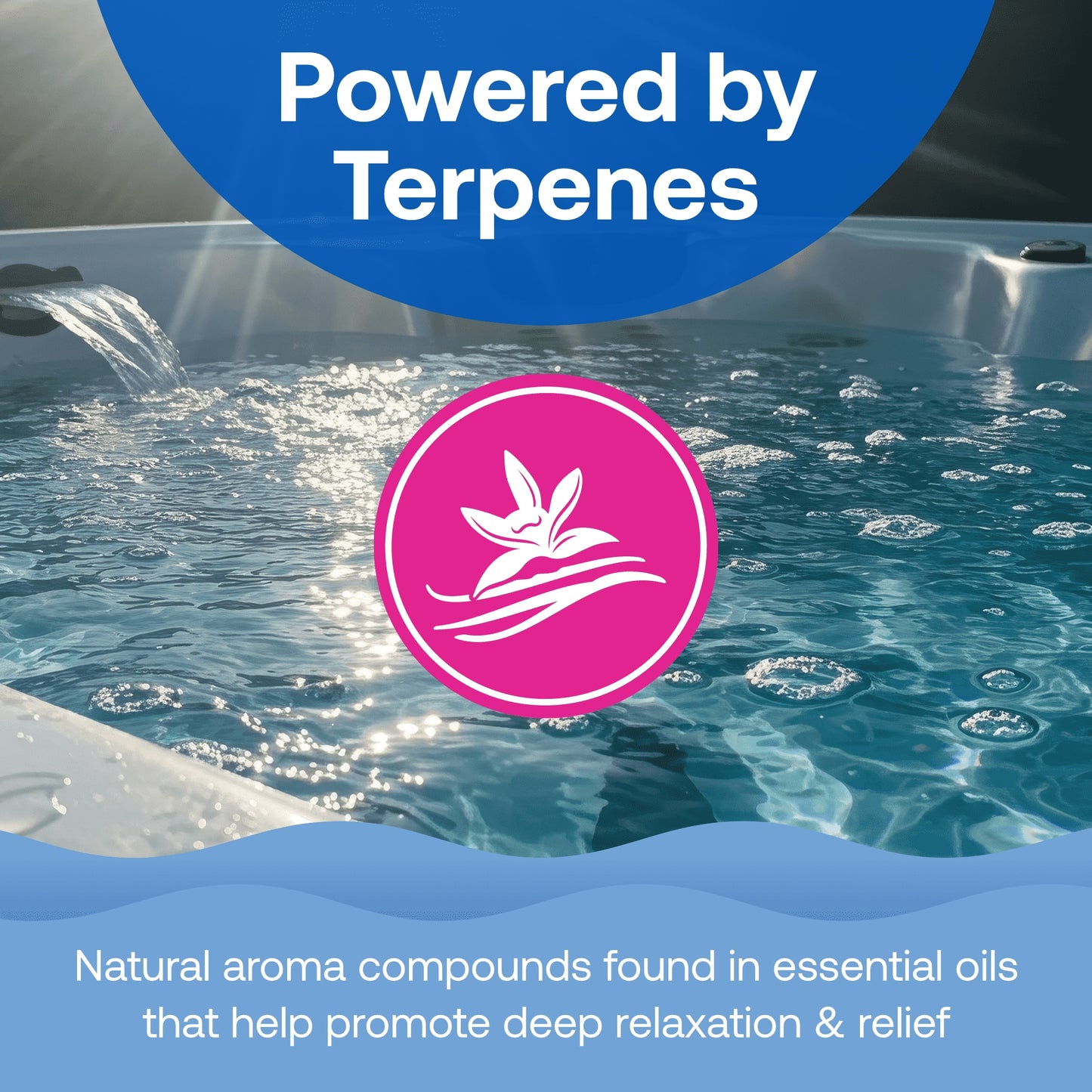 HTH spa™ Care Wellness Aromatherapy: Muscle & Joint Relief