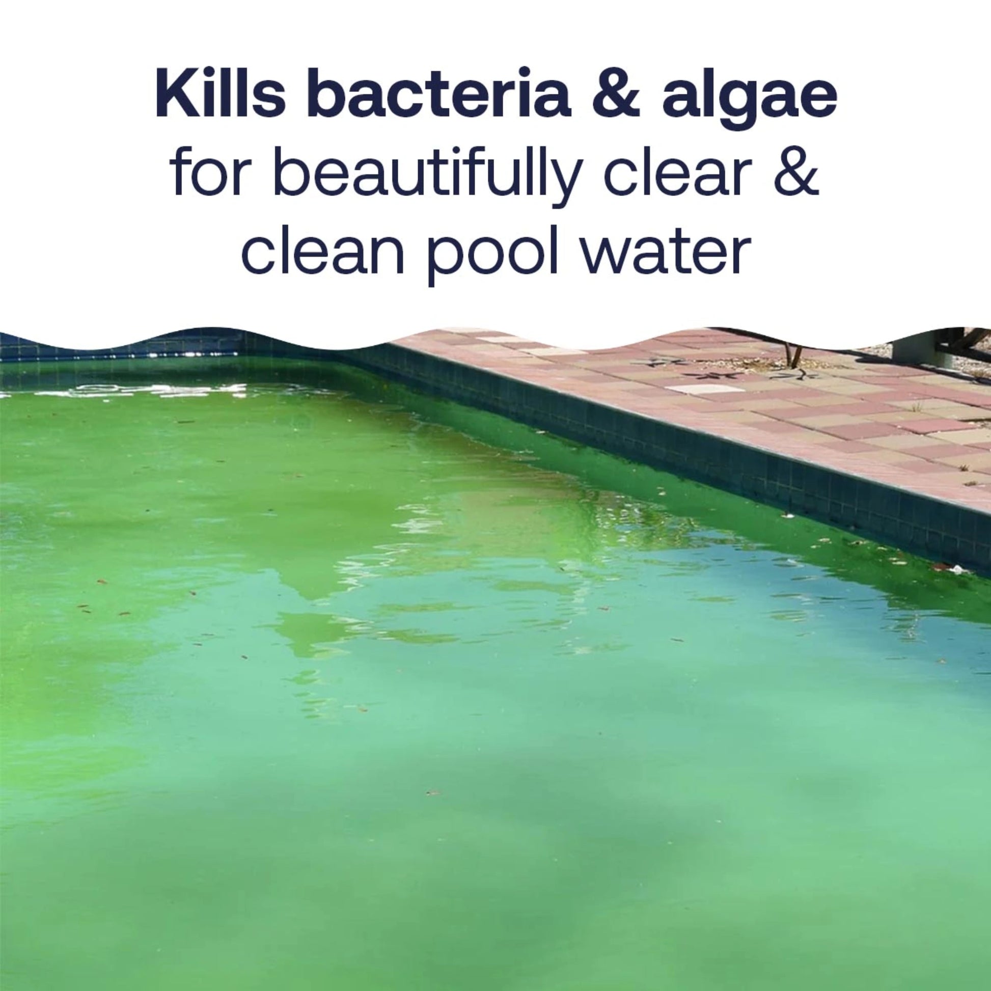 hth chlorine floater kills pool bacteria and algae