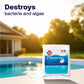 hth chlorine tablets destroy pool bacteria and algae