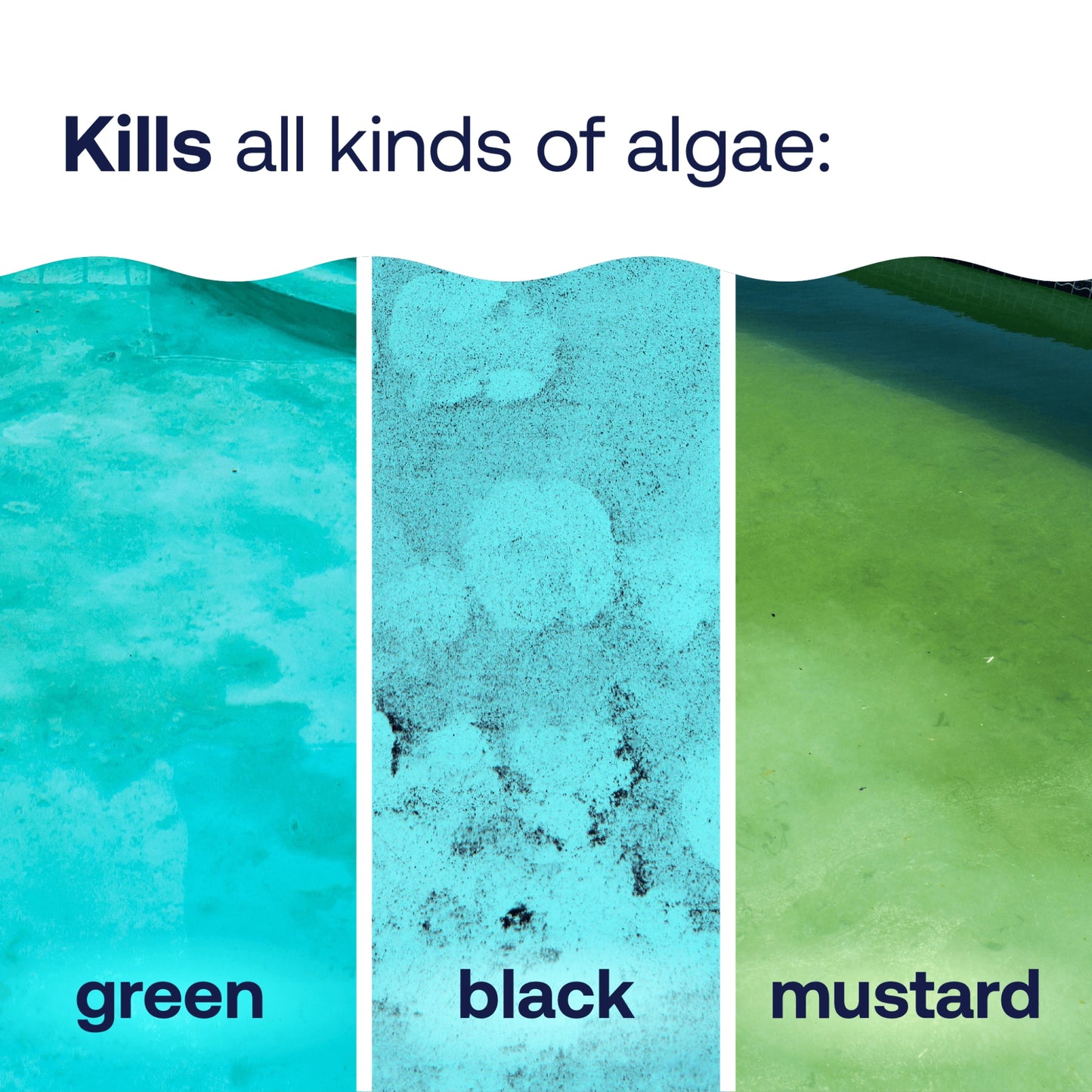 pool algaecides kill green black and mustard algae