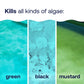 pool algaecides kill green black and mustard algae