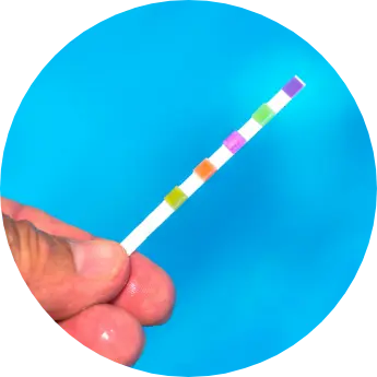 hth pool test strip