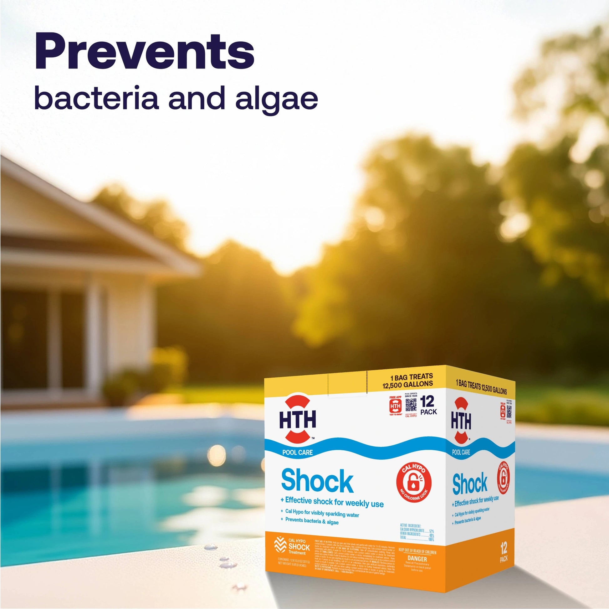 hth pool shock package prevents bacteria and algae