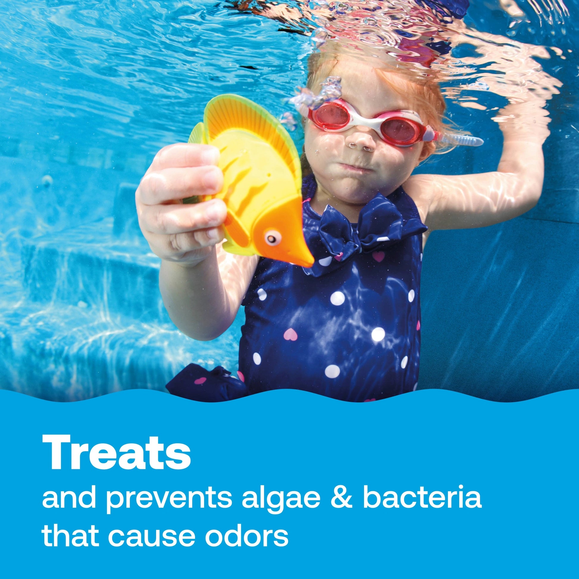 pool algae remover prevents bacteria and unpleasant odors