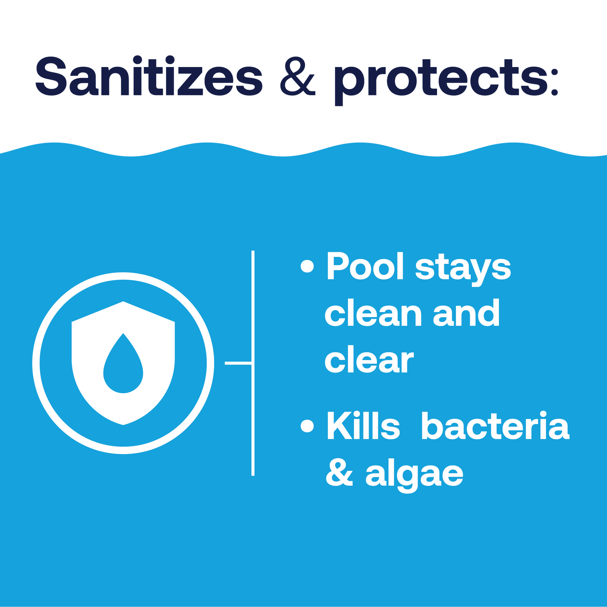 Sanitizer additional benefits - clear and kills algae and bacteria 